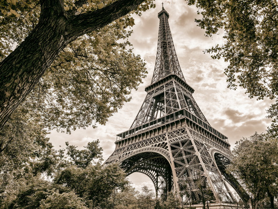 Eiffel Tower visible through tree branches under a cloudy sky