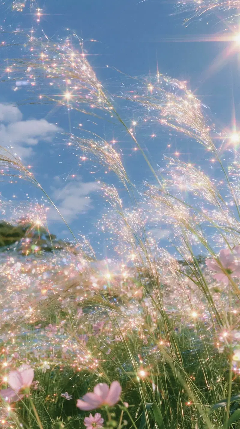 A Tranquil Scene of Wildflowers Under a Sparkling Sky