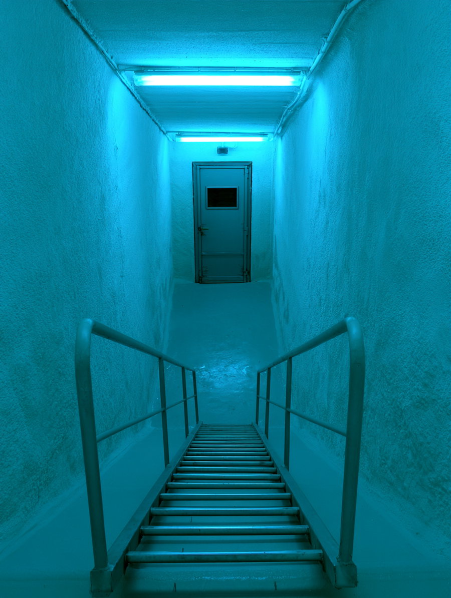 A long, creepy vertical corridor with a turquoise hue, featuring a ladder going down towards a dark entrance, illuminated by artificial lighting.