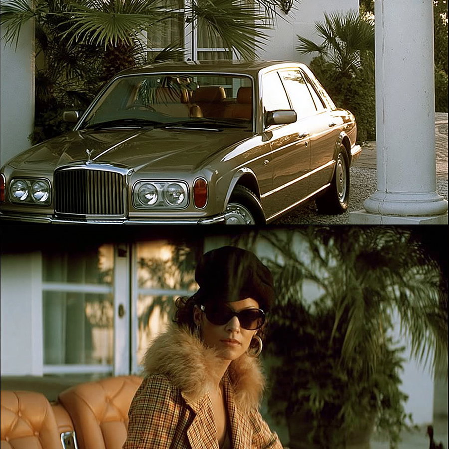 A split image featuring a luxury car parked near lush palm trees and a fashionable woman wearing sunglasses and fur in a stylish setting.